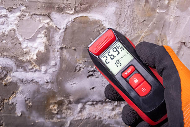 Best Certified Mold Removal  in Blue Earth, MN