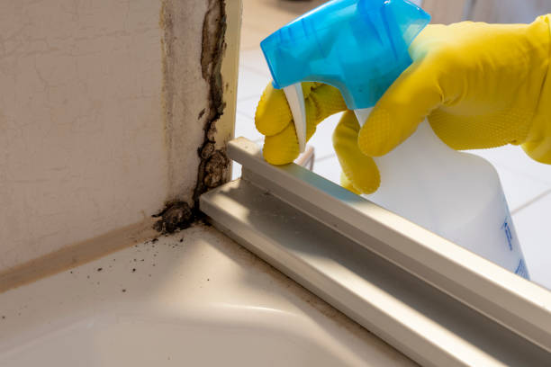 Best Crawl Space Mold Removal  in Blue Earth, MN