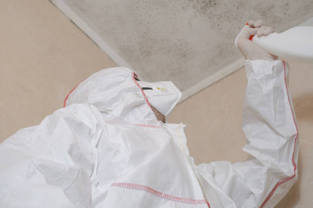 Best Local Mold Removal Service  in Blue Earth, MN