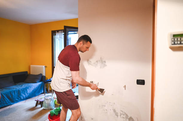 Best Emergency Mold Removal  in Blue Earth, MN